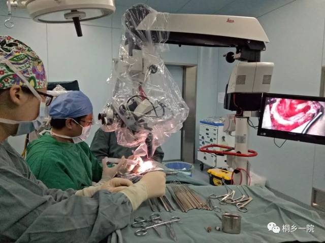 头颈外科合作以来,在周雪华教授及其团队的指导下,深入开展了鼻内镜