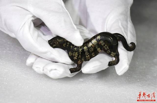 杜虎兵符.郭立亮 摄