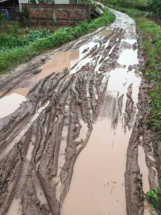你见过这么烂的泥巴路吗?你那里有这种泥巴路吗?