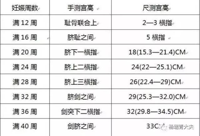 宫高怎么测量图解图片