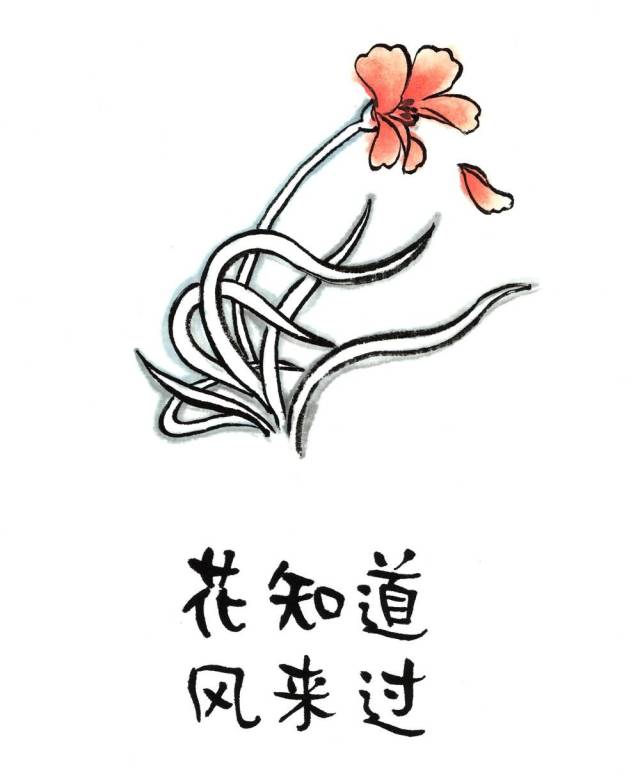 《等一朵花开》获亚马逊2016年度十佳好书奖 开幕式当天 小林老师将与