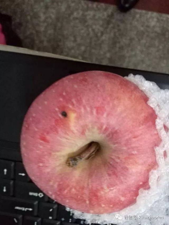 谁给她寄了一箱苹果苹果上有小针眼两只老鼠啃完都死了