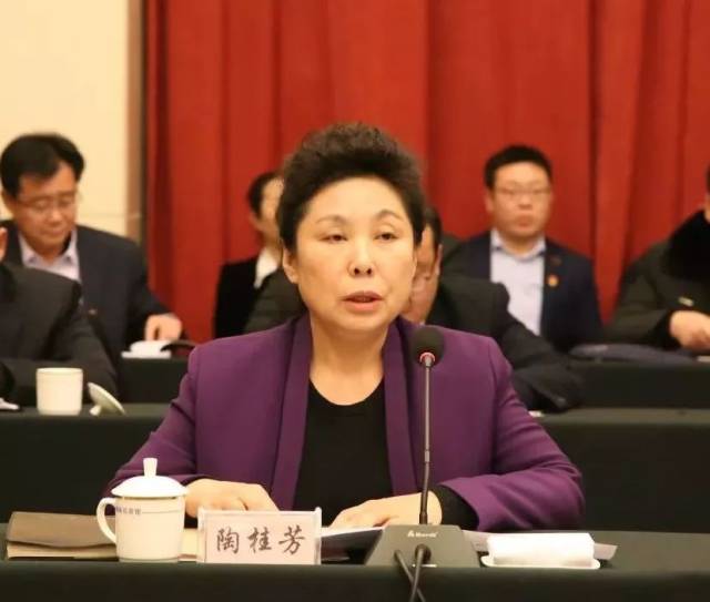 副市长陶桂芳主持会议