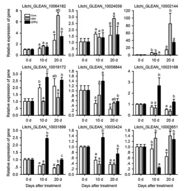 图5. qrt-pcr分析结果图