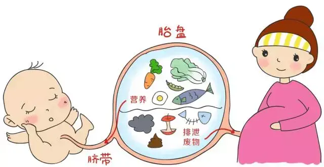 新生儿宝宝的脐带护理