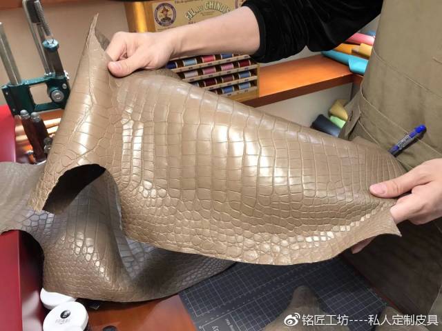 教你如何区分鳄鱼皮的真假?