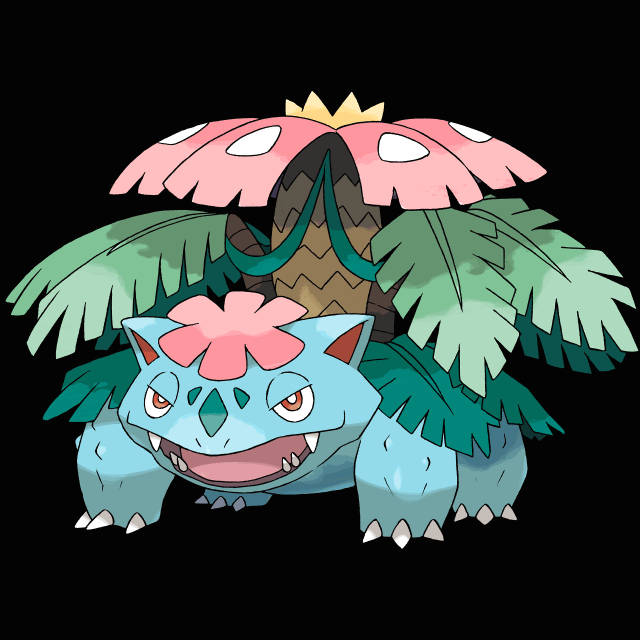 小智神奇宝贝mega进化大盘点 最后一只比超级喷火龙还帅