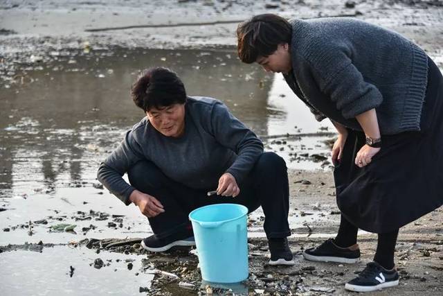 外地人在北海的挖螺技术越来越好了,本地人会