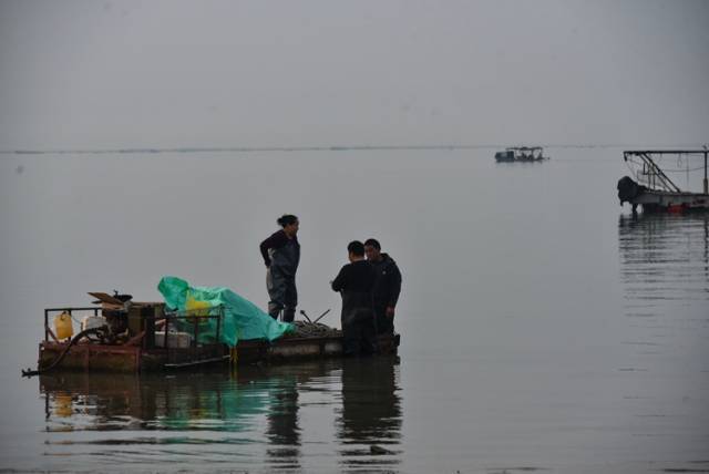 外地人在北海的挖螺技术越来越好了,本地