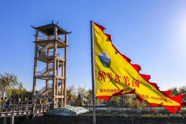 扬州周边景点推荐一日游