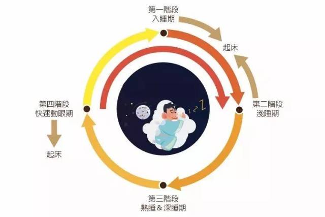 5~7小时老人应在每晚12点前睡觉,晚上睡觉的时间有7小时,甚至5.