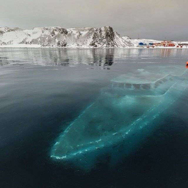 深海恐惧症最恐怖图片图片