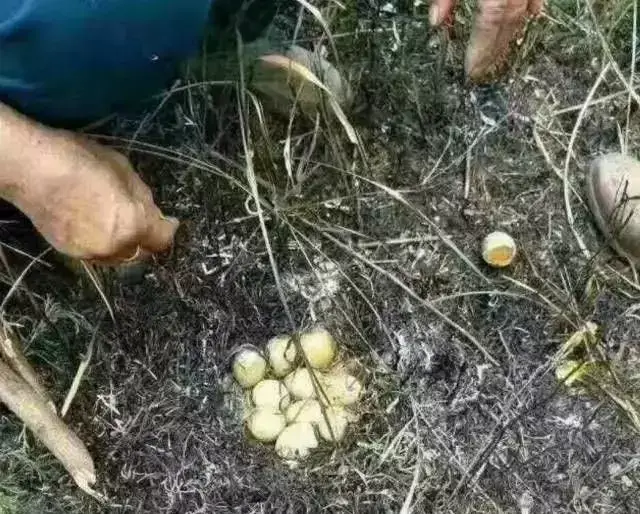 2017年最温暖的朋友圈,这些感动应该被记住!_手机搜狐网