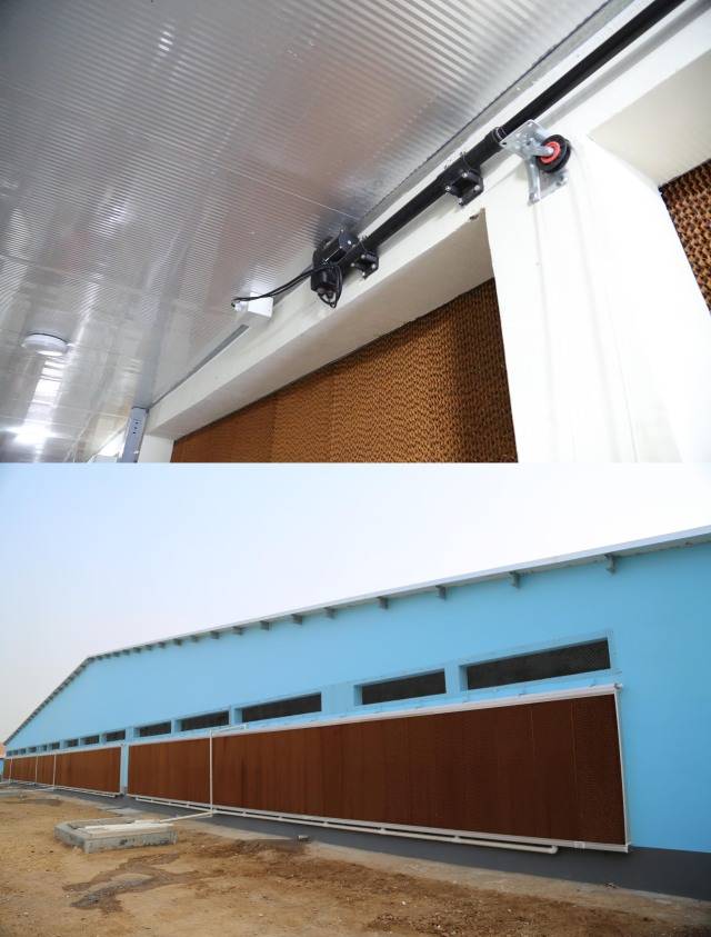 大荷兰人德式现代化猪舍什么样? 带你走进谊发牧业一探究竟