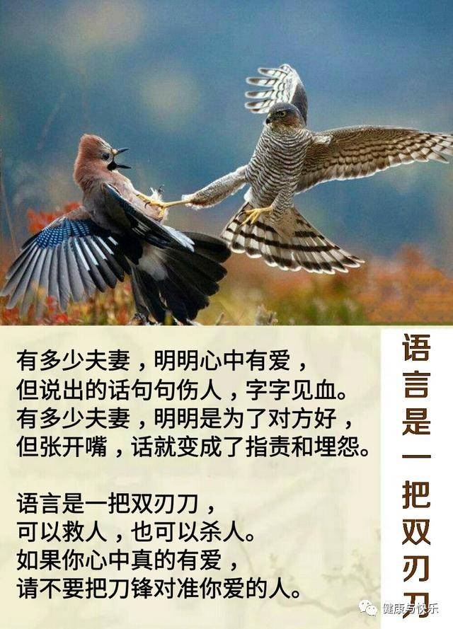 语言是一把双刃刀.