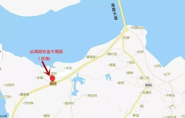 阳江千亩浪漫花海开放!元旦假期又多了一个好去处!