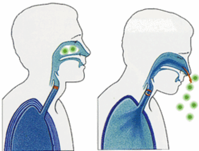 600_456gif 动态图 动图