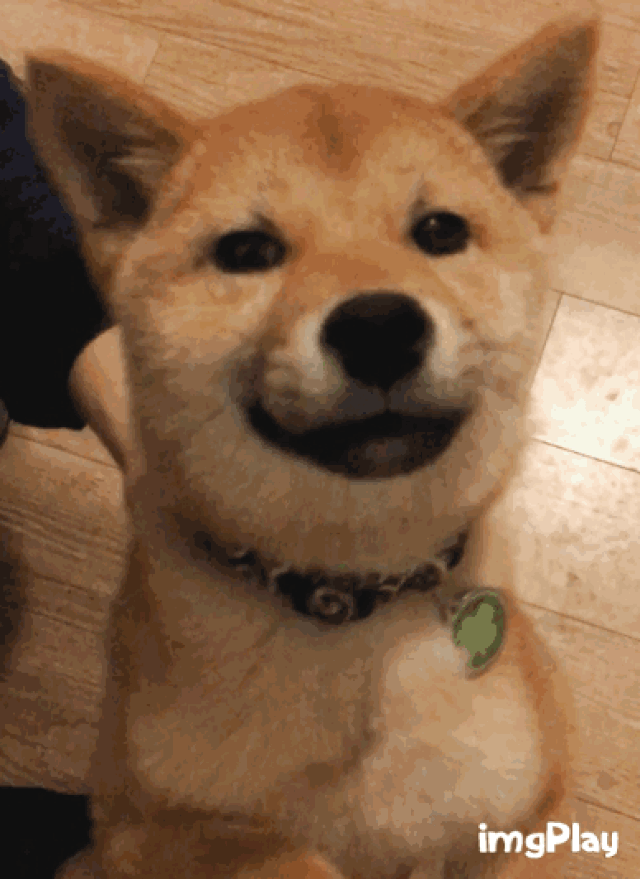 388_533竖版 竖屏gif 动态图 动图