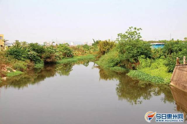 惠州的这些河涌昨天动工整治啦!