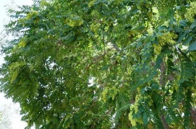 天津这20个秘密,恐怕住了20年的天津人都不知道!