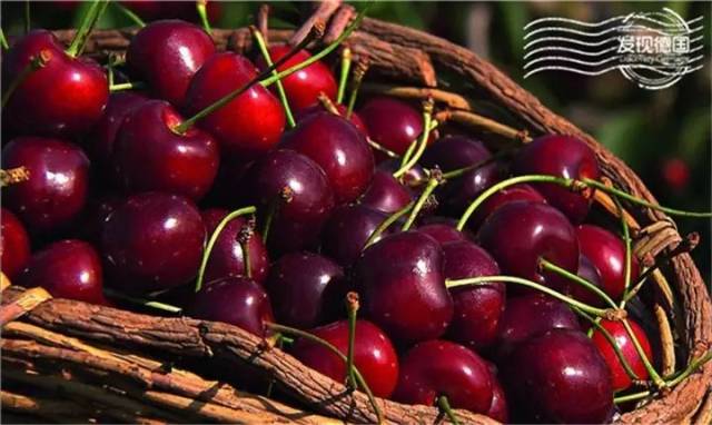 德国的水果时间表(上)