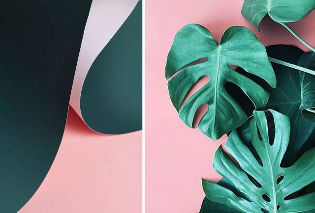 说到绿和红这双对比色欢喜冤家, 要想营造得好看且高级,需要在 色彩