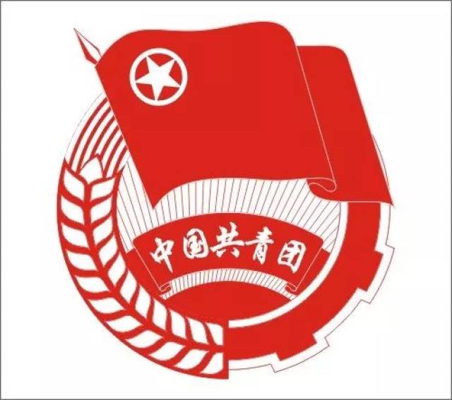 【号外】校团委黄春发同志当选天津市青年志愿者协会第四届理事会会长