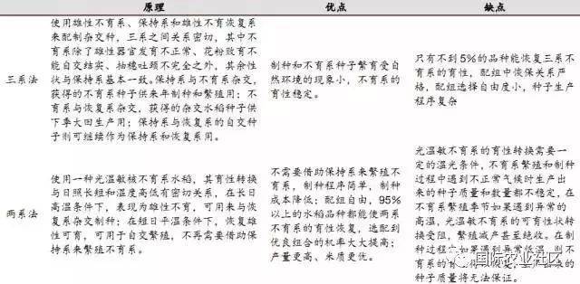 杂交水稻种子：农业创新与未来