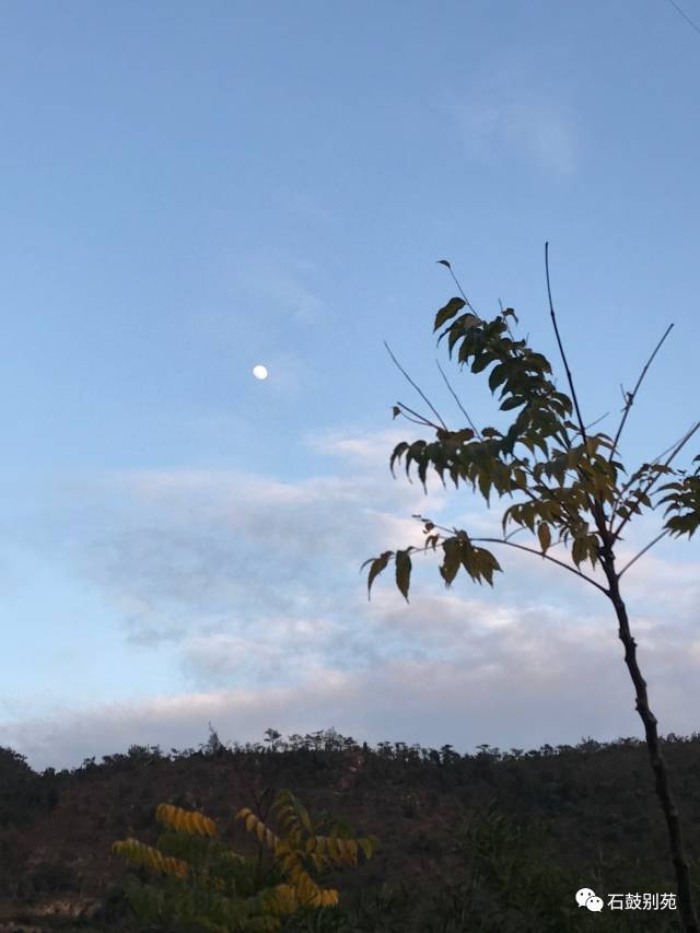 在歲月轉換的時間縫隙裡,去山裡靜靜的喝杯茶