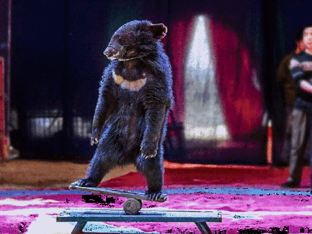 福利丨马戏嘉年华门票领取倒计时一天,你领票了吗?