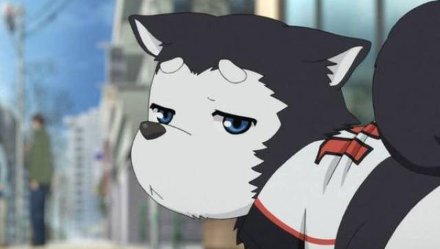 黑子的篮球可以说非常可爱了,在万事屋三人组的照料下存活也是不容易