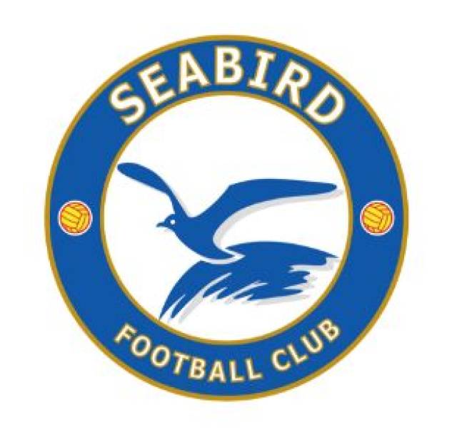 海鸟足球全新logo正式启用!