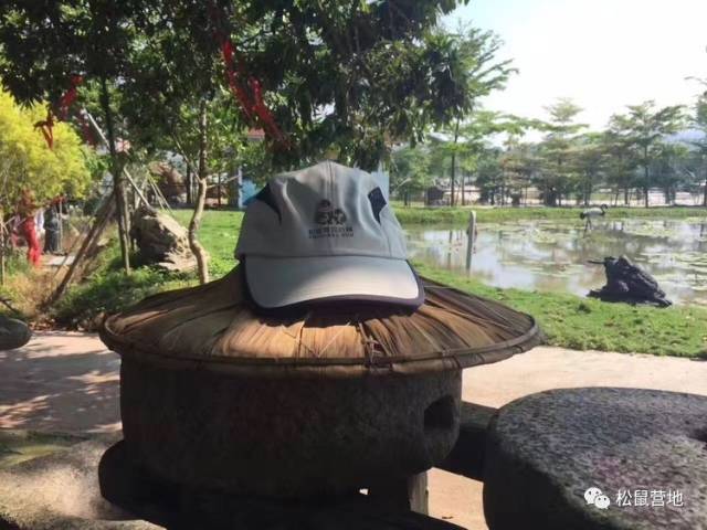 2017我们松鼠人的故事,2018不忘初心,励志前行