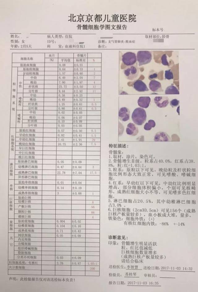 有很多的血液病患儿家长都看不懂骨穿报告,为此,我们结合相关经验,为