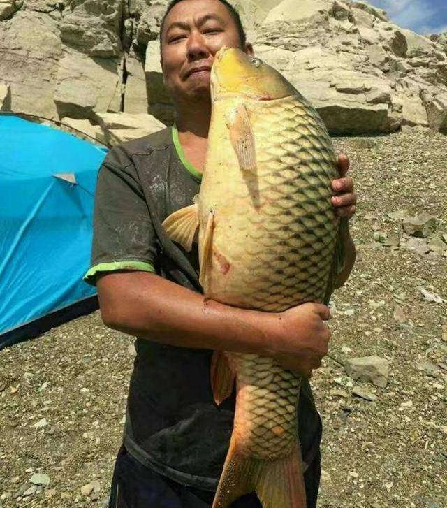 从几十到上百斤,这些鱼王,钓友们你们谁钓到过?_手机搜狐网