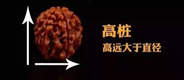 最值钱的金刚菩提桩型排行榜，第一位竟然是它！（建议收藏）_搜狐网