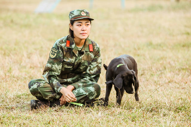 奇兵神犬大結局馮瀚圃展反差萌楊朵蘭勇擒毒販