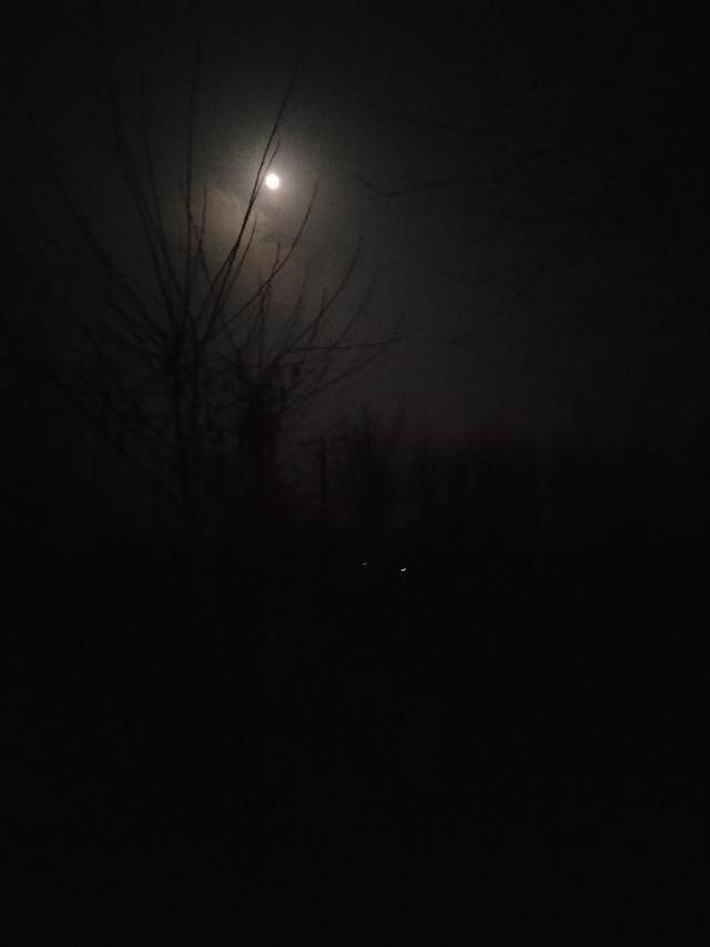 冬天晚上农村黑夜图片图片