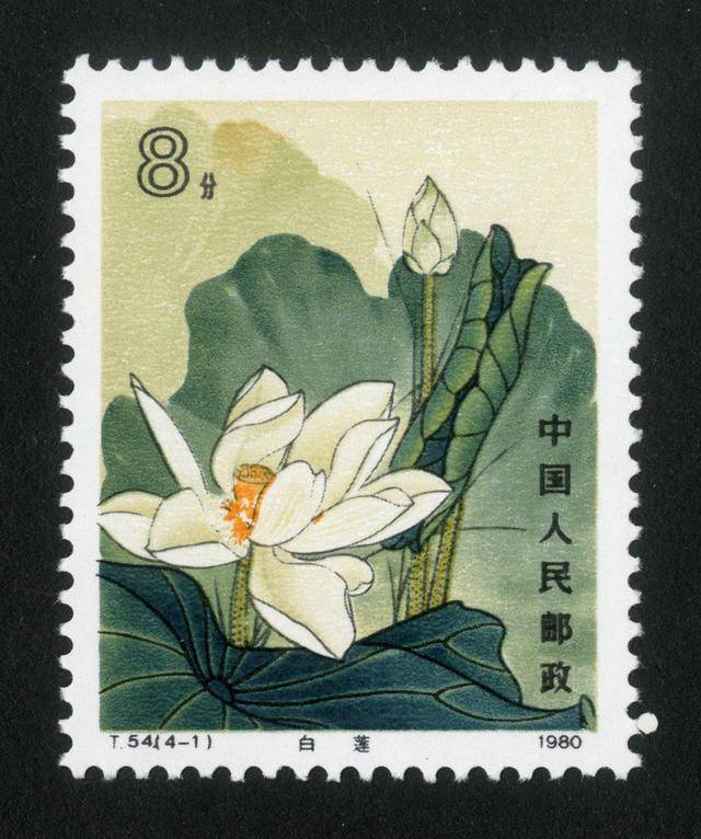 T54《荷花》特种邮票赏析_搜狐网
