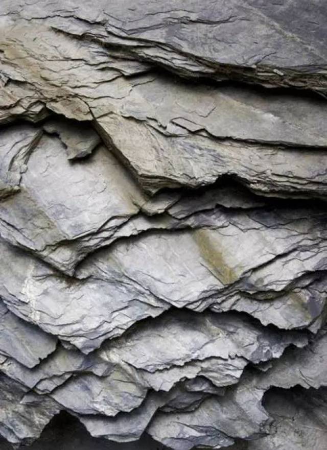 具有板状构造;原岩主要是黏土岩,黏土质粉砂岩和中酸性凝灰岩;重结晶