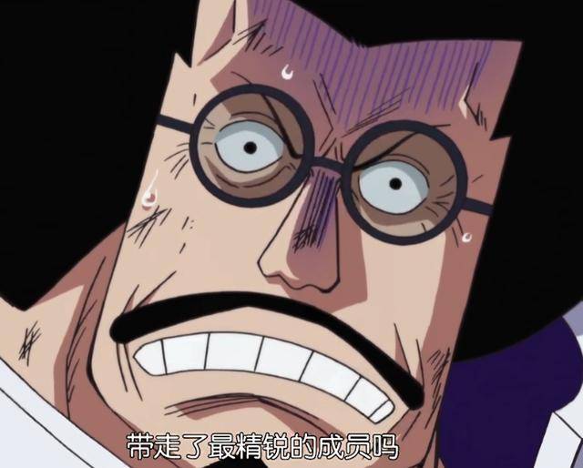 海贼王丨佛之战国也终于对上层忍无可忍,再不是以前了