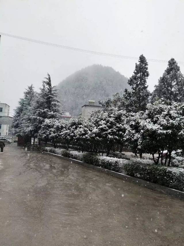 笃坪雪景