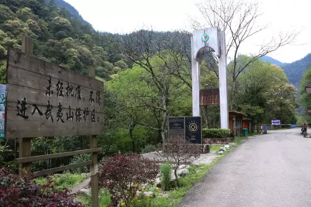 武夷山桐木村一日游图片