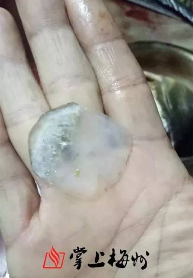 鱼鳞覆在摊开的巴掌上,好大一枚.