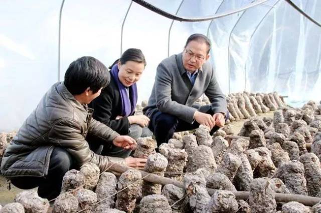 牟晓非赴佛坪县调研