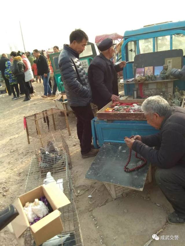 成武"猫狗市场"换地方了!地址在这.