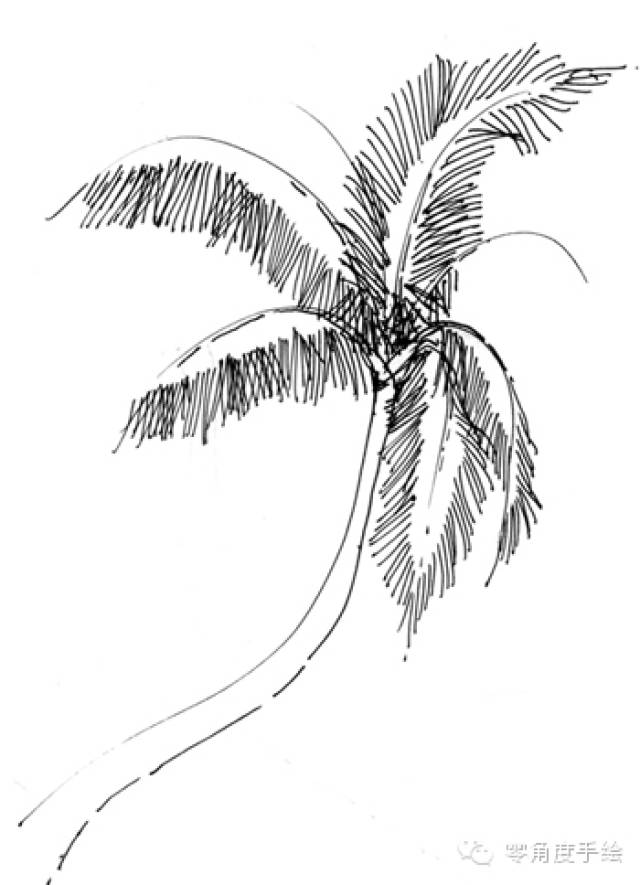 手绘微教程—— 景观椰树篇 【微手绘15期】