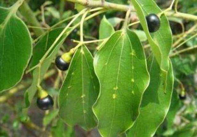 冬季冻疮是儿童多发季,家长们别着急,有了这些方法想不好都难