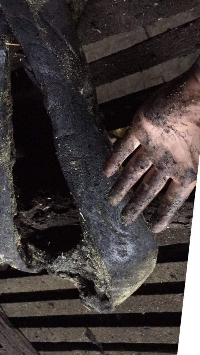 无辣不欢有腊必点的湘西腊肉越存越香蝇虫不叮放3年都不坏
