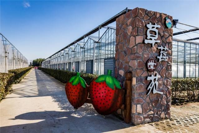 农庄设计丨担心农场采摘同质化如此这般可祝您赚得盆满钵满